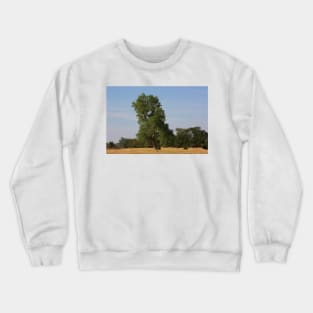Kansas Country  Tree in a Pasture Crewneck Sweatshirt